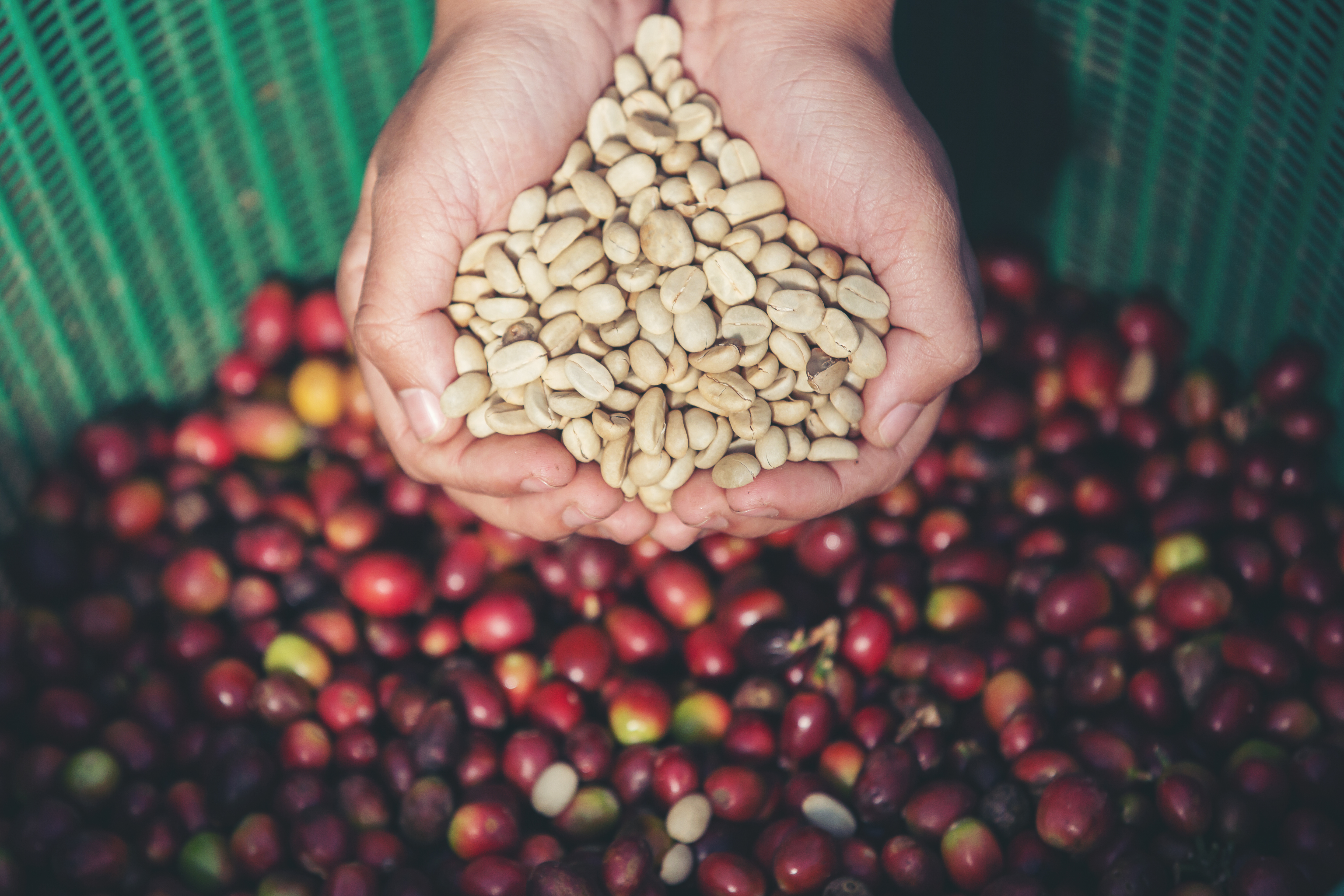 Coffee beans