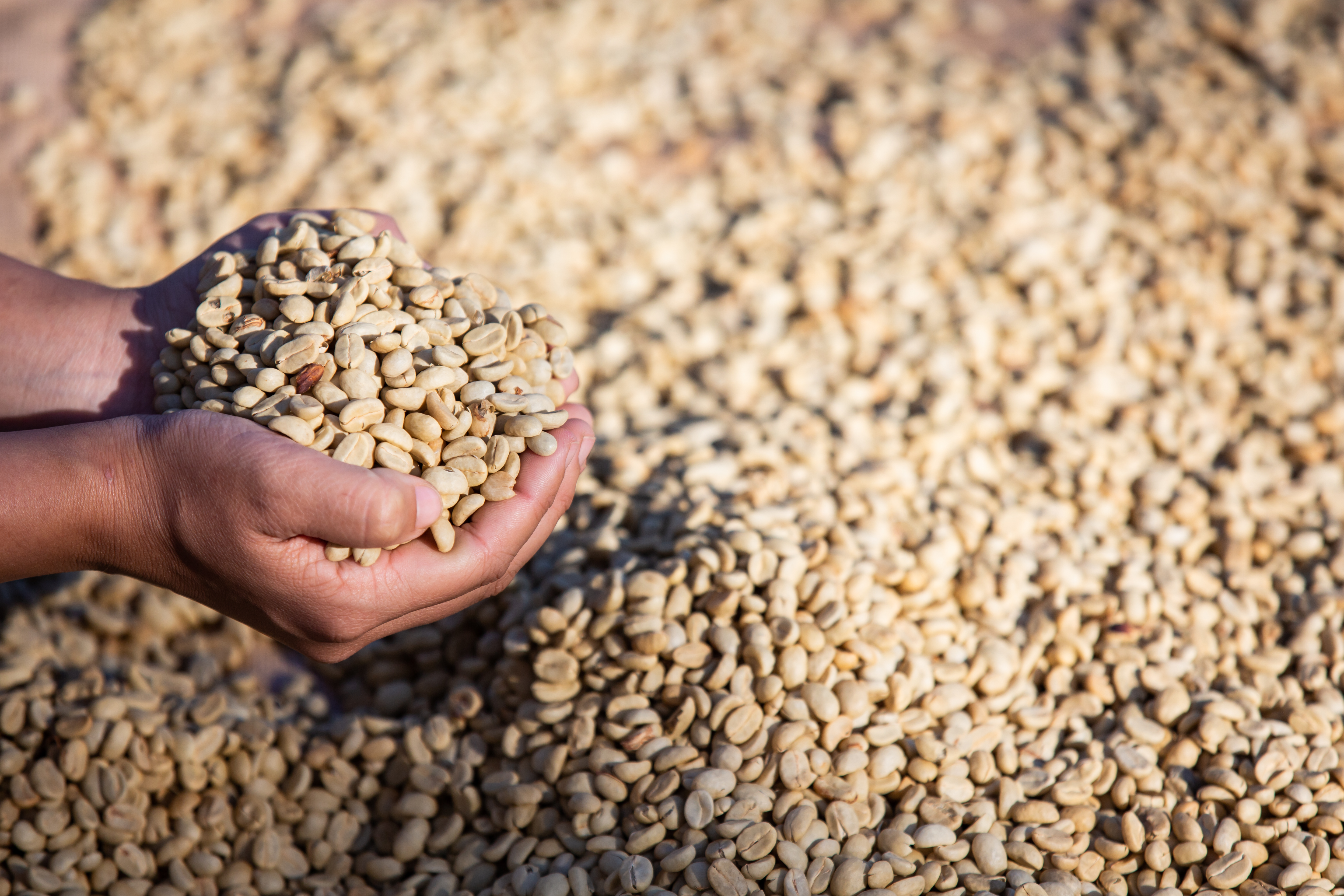 Coffee beans